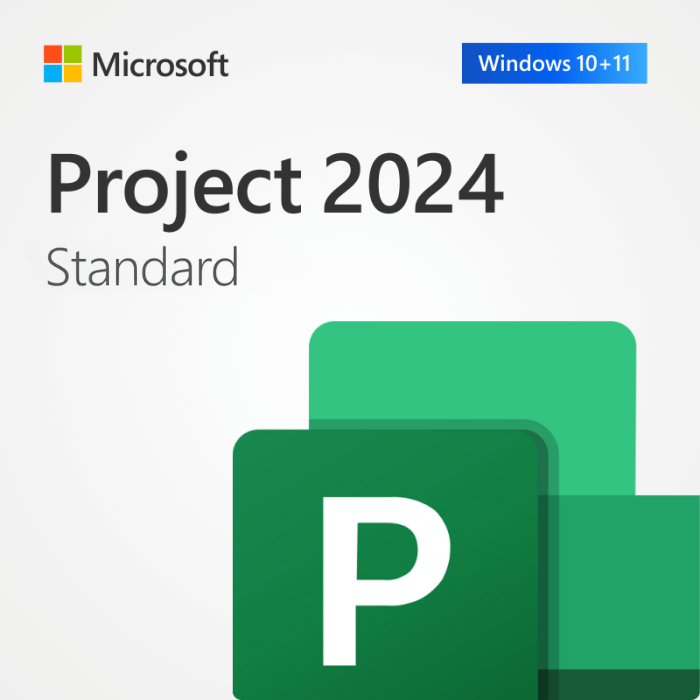 Microsoft Project 2024 Standard (PC Only)